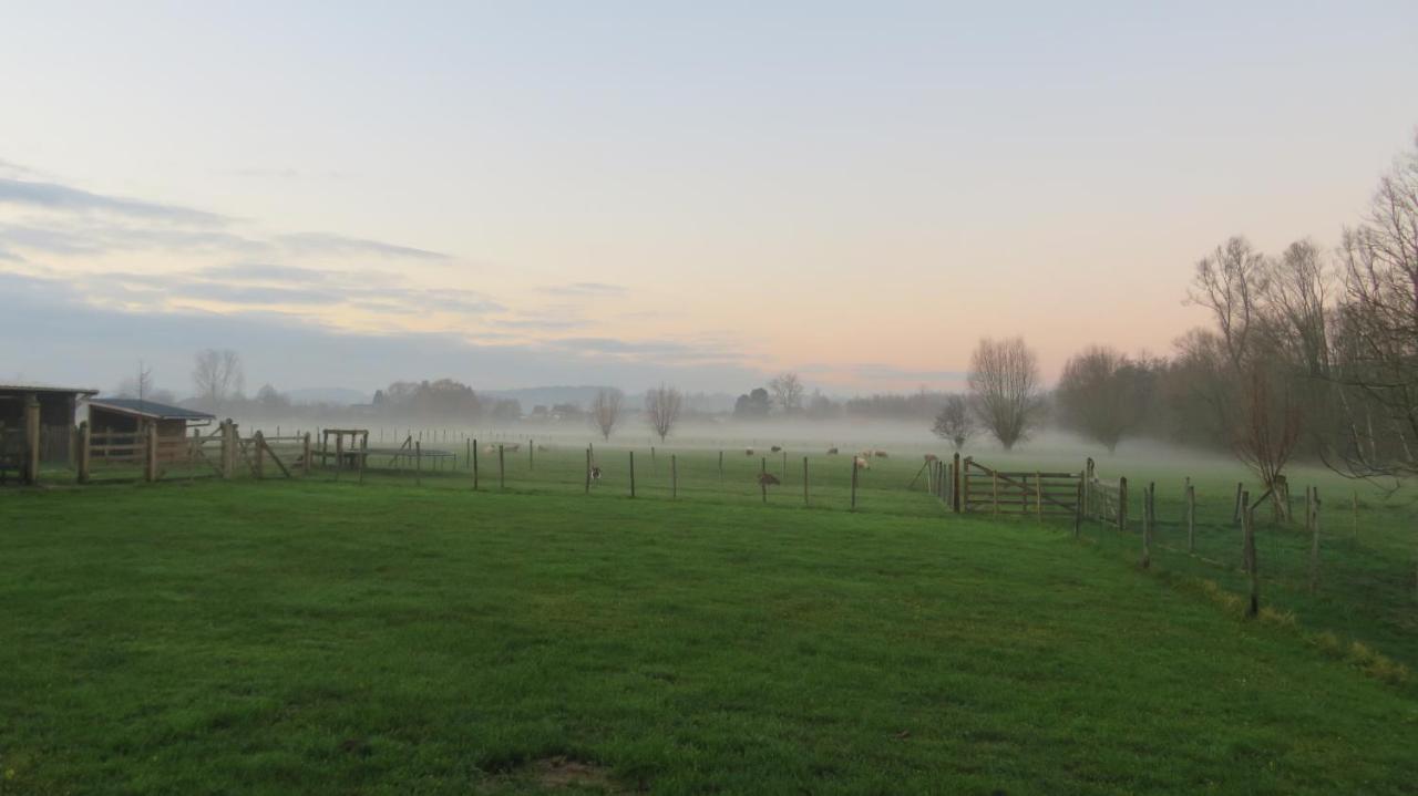 B&B Hoeve de Schapenkop Ronse Buitenkant foto