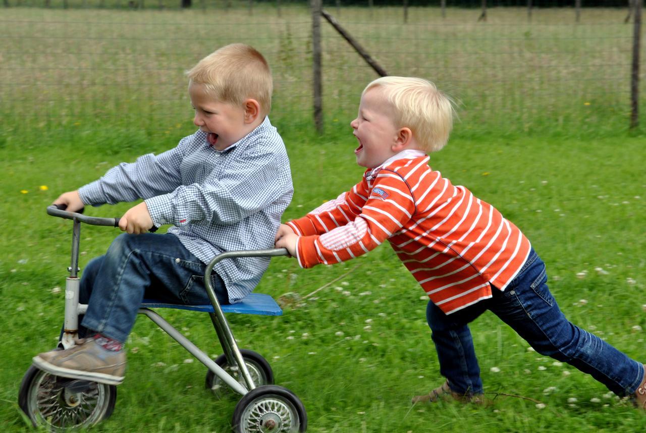 B&B Hoeve de Schapenkop Ronse Buitenkant foto